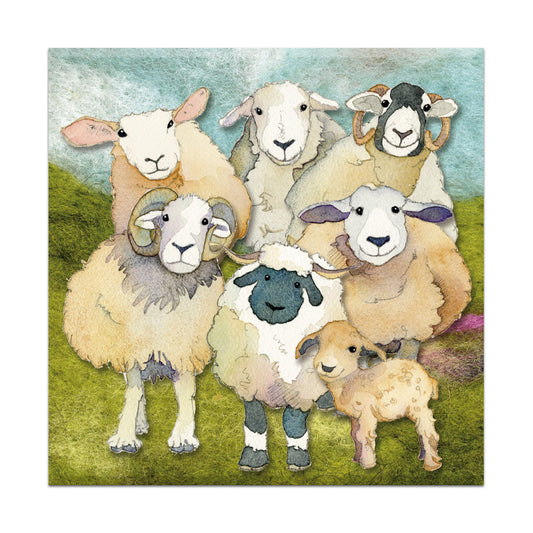 Magnets - Felted Sheep - MT131 - Emma Ball