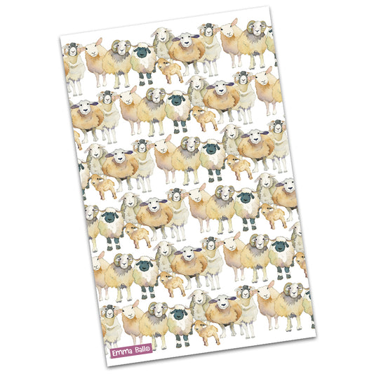 Tea Towel - 100% Cotton -  Sheep - Emma Ball