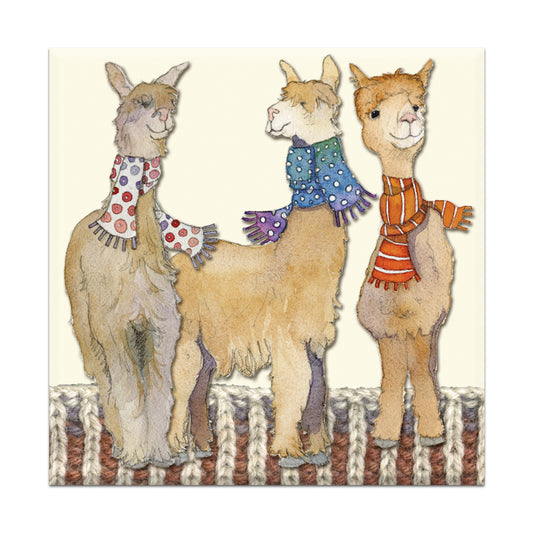 Magnets - Other Woollies - MT127 - Emma Ball